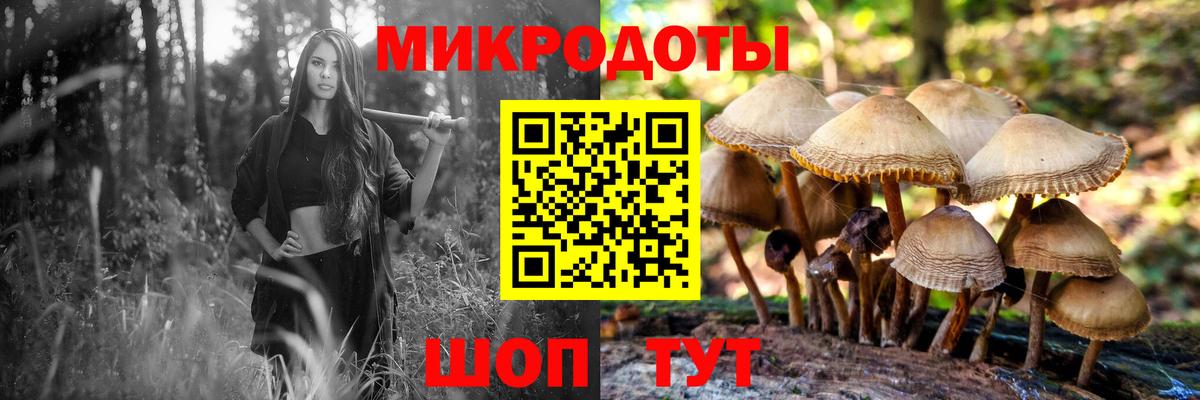Псилоцибиновые грибы GOLDEN TEACHER Михайловка