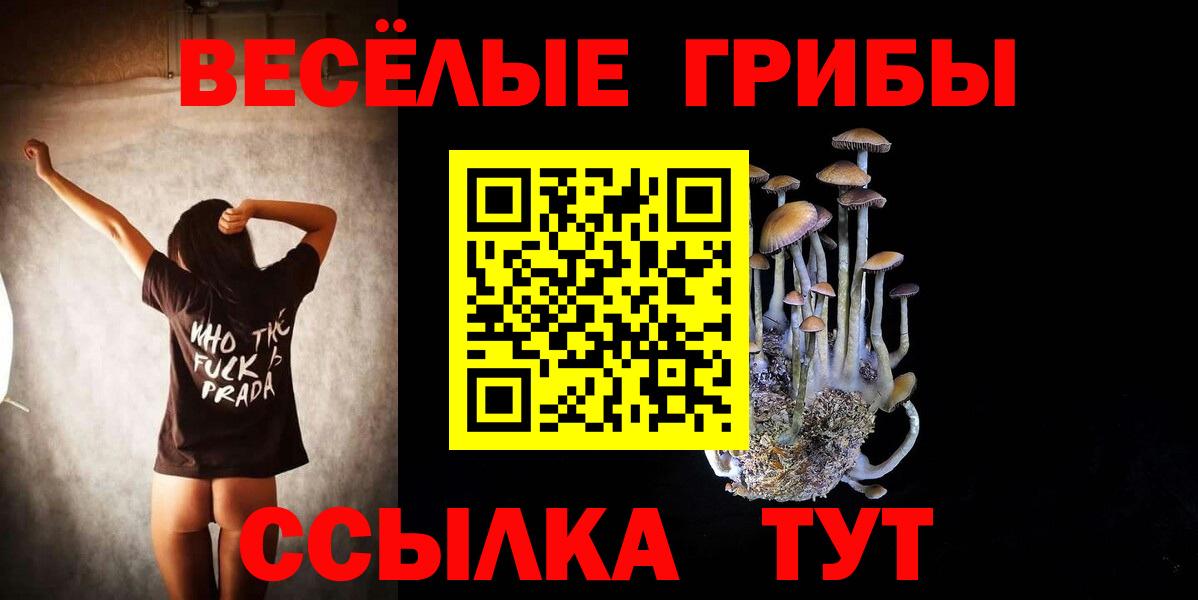 Галлюциногенные грибы Magic Shrooms  купить наркоту  Михайловка  Вход с VPN 